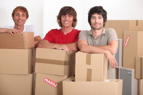 Professional van transport for furniture and boxes in Mitcham
