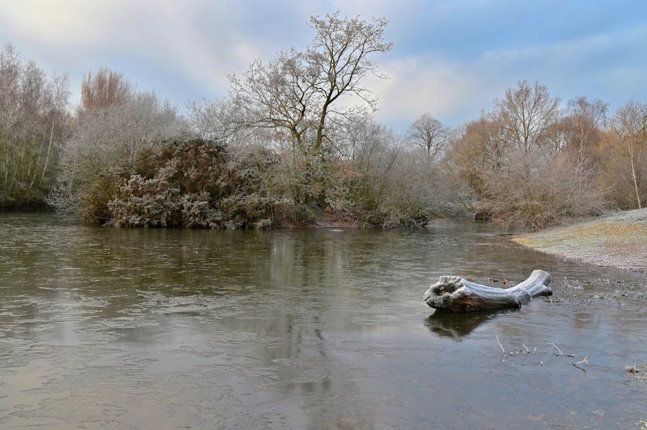 A calm river scene with a partially submerged fallen tree trunk in the foreground, surrounded by water with gentle ripples. On the riverbank, there are leafless trees and bushes with a mix of brown and grey branches, indicating late autumn or winter. The sky is partly cloudy with patches of blue visible, providing natural light that softly illuminates the landscape. The area appears quiet and undisturbed, illustrating a peaceful natural environment. This setting could be used to represent the outdoor environment associated with house removals or moving logistics, emphasizing the importance of careful planning during transportation and relocation services. Although no moving equipment or vehicles are visible in this image, the natural scene provides context for the peaceful environment where professional removals, such as those offered by Man and Van Mitcham, might operate, especially in regions near Mitcham Junction and Eastfields station.